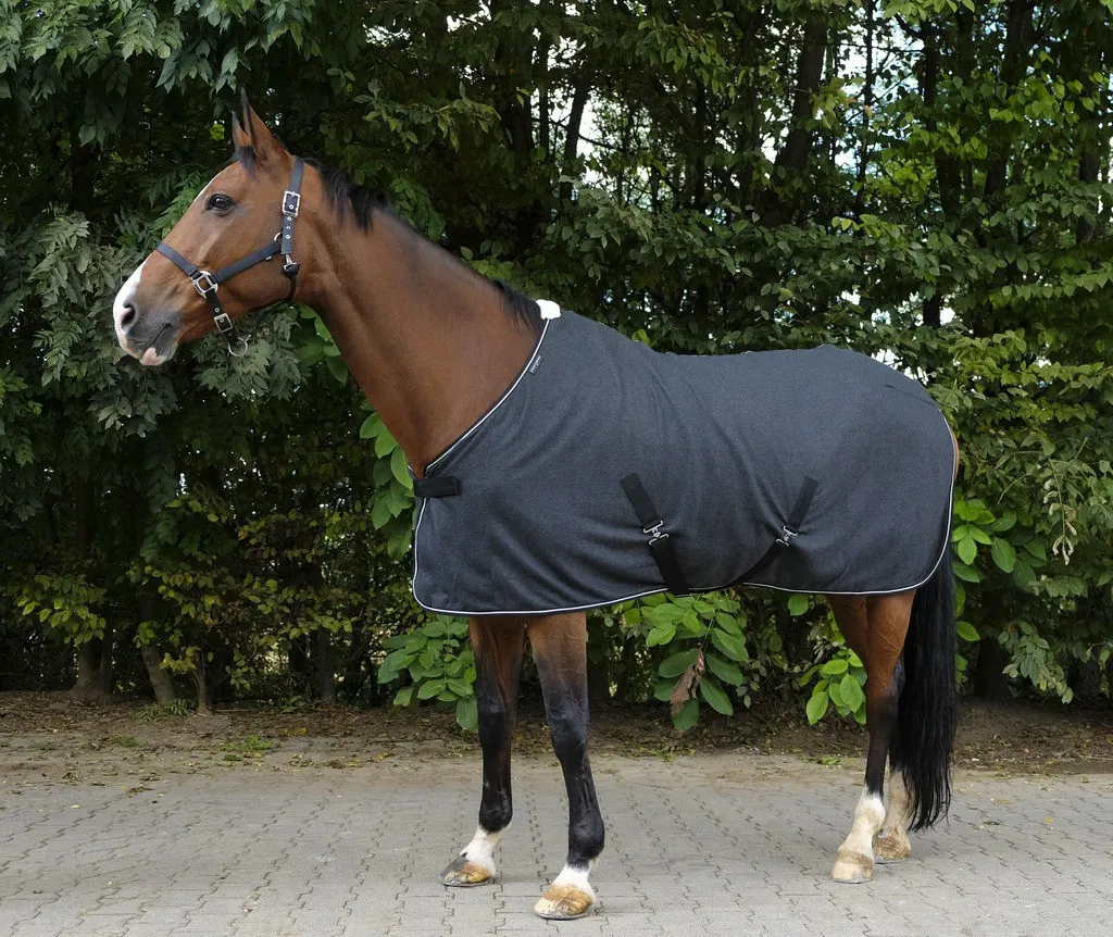 Chemise d'équitation d'équitation Equi-Theme Chiné